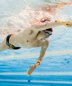 FINIS® Forearm Fulcrums | Early Vertical Forearm Tool Technical