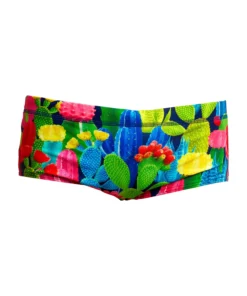 Funky Trunks Boys Swimwear Cacti High | Boys Sidewinder Trunks